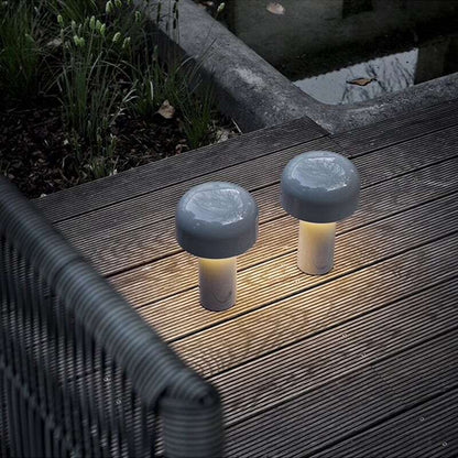 USB Rechargeable LED Cordless Table Lamp |Desk Lamp